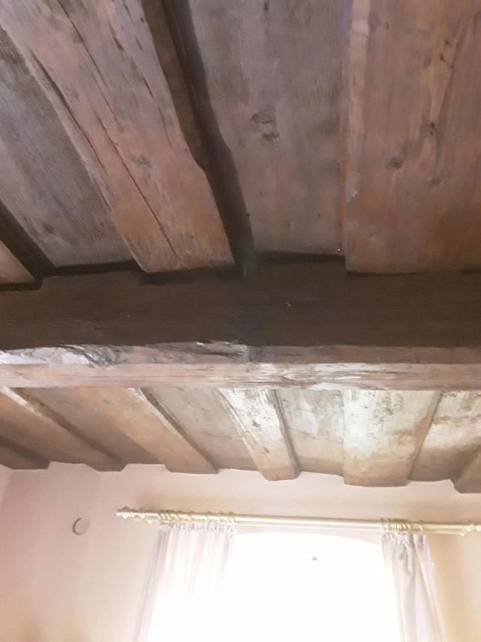 Hotel Feiler Muggendorf  Bagian luar foto